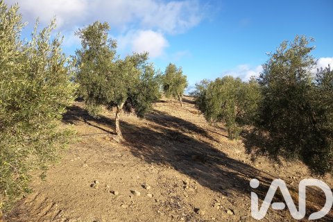 Terreno in vendita a Granada, Spagna 308000 mq. N° 152801 - foto 10
