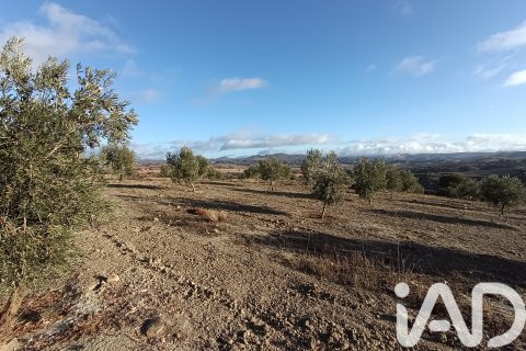 Terreno in vendita a Granada, Spagna 308000 mq. N° 152801 - foto 23
