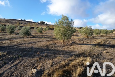 Terreno in vendita a Granada, Spagna 308000 mq. N° 152801 - foto 30