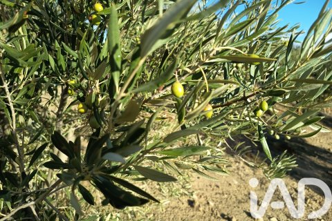 Terreno in vendita a Granada, Spagna 308000 mq. N° 152801 - foto 11