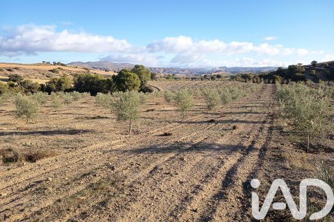 Terreno in vendita a Granada, Spagna 308000 mq. N° 152801 - foto 18