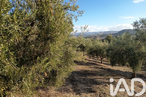 Terreno in vendita a Granada, Spagna 308000 mq. N° 152801 - foto 26