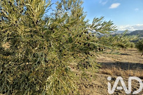 Terreno in vendita a Granada, Spagna 308000 mq. N° 152801 - foto 5