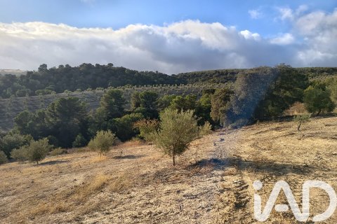 Terreno in vendita a Granada, Spagna 308000 mq. N° 152801 - foto 28