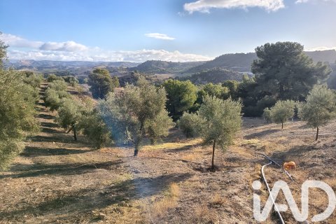 Terreno in vendita a Granada, Spagna 308000 mq. N° 152801 - foto 27