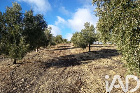 Terreno in vendita a Granada, Spagna 308000 mq. N° 152801 - foto 12