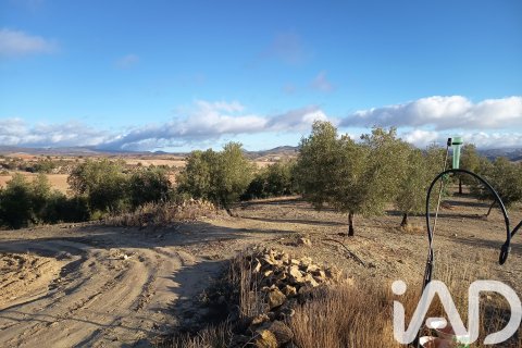 Terreno in vendita a Granada, Spagna 308000 mq. N° 152801 - foto 15