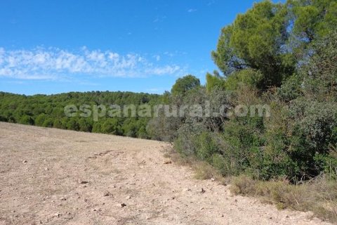 Сasa en venta en Las Vertientes, Granada, España 348 m2 No. 147024 - foto 12
