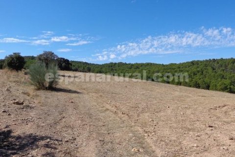 Сasa en venta en Las Vertientes, Granada, España 348 m2 No. 147024 - foto 14