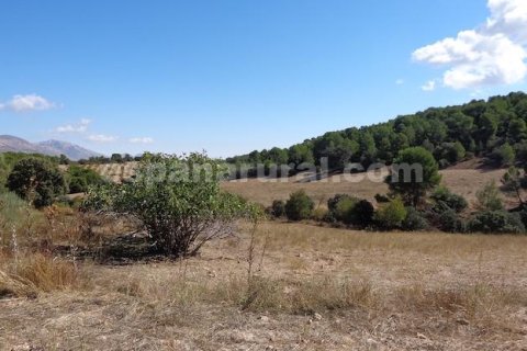 Сasa en venta en Las Vertientes, Granada, España 348 m2 No. 147024 - foto 13