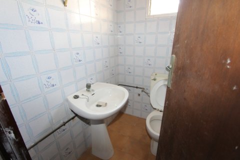 Commercial property à vendre à Guardamar del Segura, Alicante, Espagne, 200 m2 No. 183928 - photo 5
