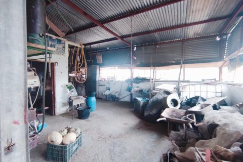 Продажа дома в Долорес, Аликанте, Испания 3 спальни, 211м2 №183931 - фото 20