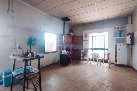 Продажа дома в Долорес, Аликанте, Испания 3 спальни, 211м2 №183931 - фото 17