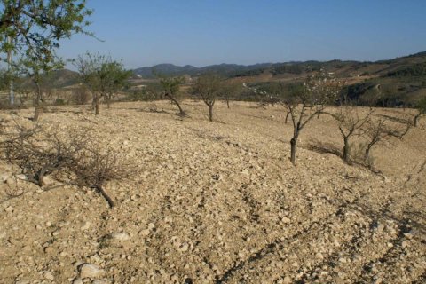 Land plot à vendre à Alicante, EspagneNo. 183933 - photo 4
