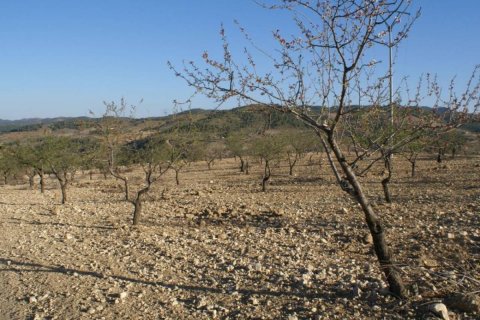 Land plot à vendre à Alicante, EspagneNo. 183933 - photo 8