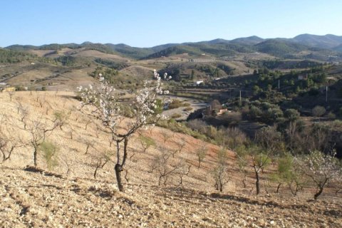 Land plot à vendre à Alicante, EspagneNo. 183933 - photo 2
