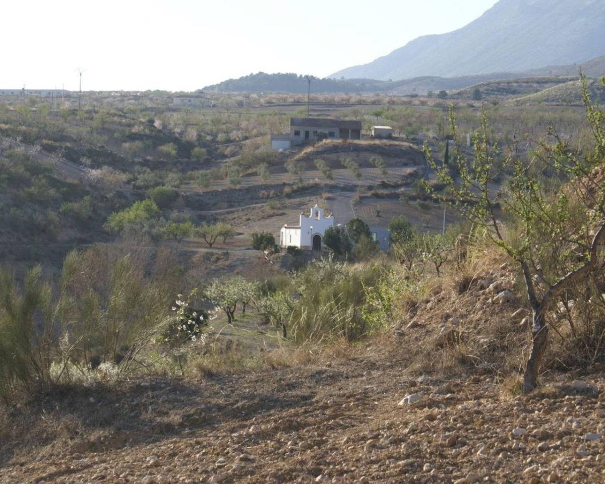 Land plot à Alicante, Espagne No. 183933