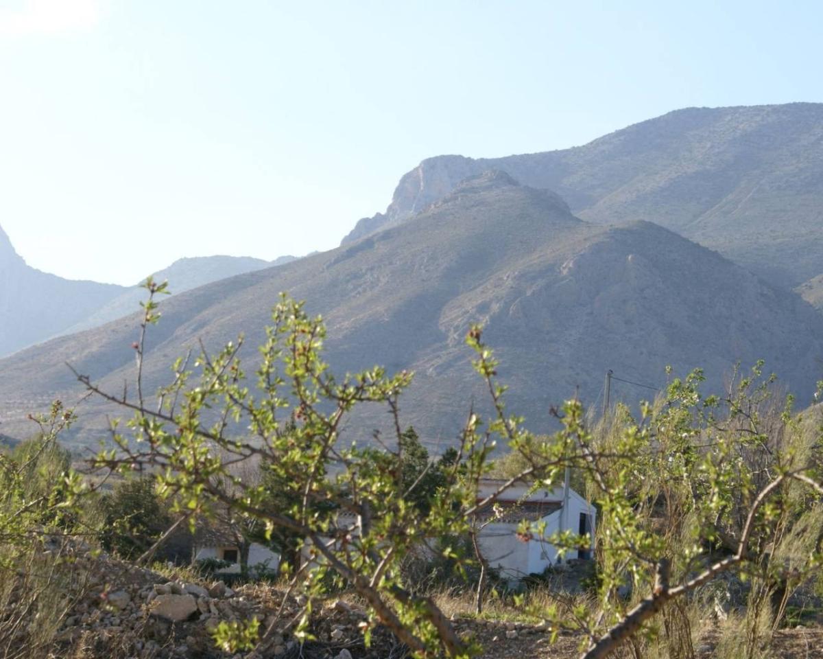 Land plot à Alicante, Espagne No. 183933