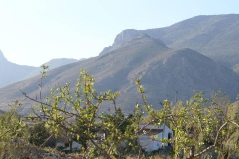 Land plot à vendre à Alicante, EspagneNo. 183933 - photo 6