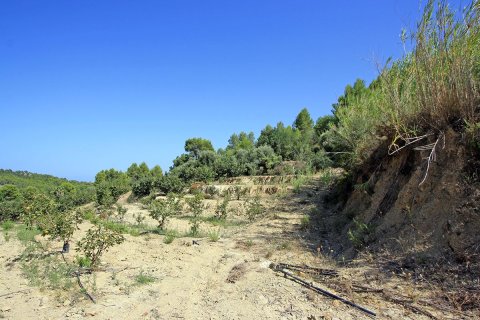 Tontti myytävänä Beniarbeig, Alicante, Espanja ,  No. 183932 - kuva 2