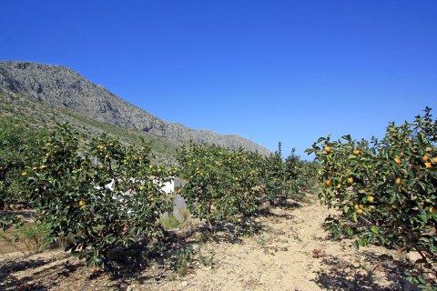 Tontti myytävänä Beniarbeig, Alicante, Espanja ,  No. 183932 - kuva 4