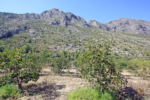 Tontti myytävänä Beniarbeig, Alicante, Espanja ,  No. 183932 - kuva 6