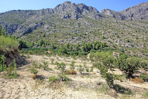 Terreno a Beniarbeig, Alicante, Spagna N° 183932