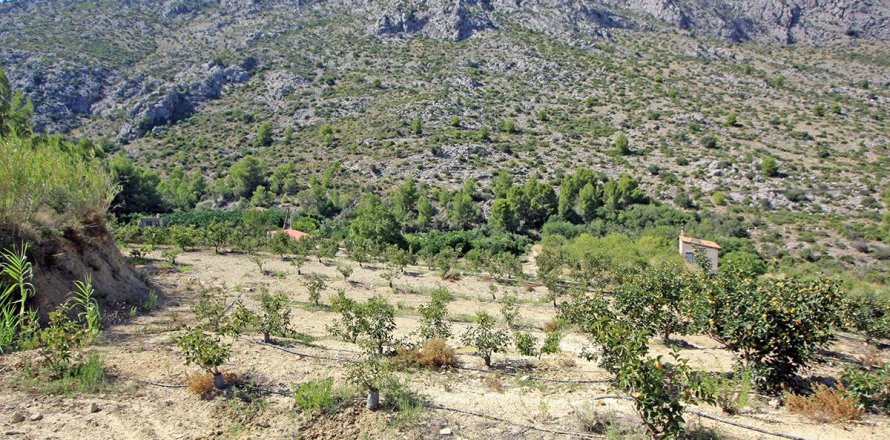 Tontti Beniarbeig, Alicante, Espanja No. 183932