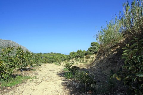 Tontti myytävänä Beniarbeig, Alicante, Espanja ,  No. 183932 - kuva 5