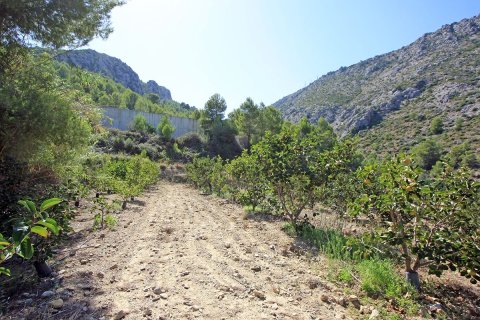 Tontti myytävänä Beniarbeig, Alicante, Espanja ,  No. 183932 - kuva 3