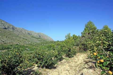 Tontti myytävänä Beniarbeig, Alicante, Espanja ,  No. 183932 - kuva 9