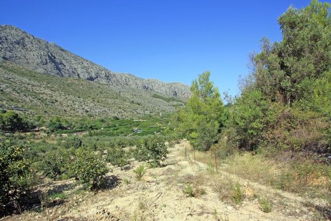 Tontti myytävänä Beniarbeig, Alicante, Espanja ,  No. 183932 - kuva 15