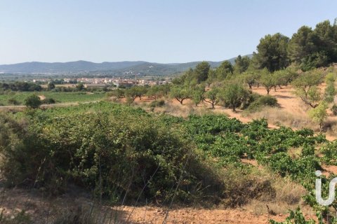 Terreno a La Bisbal Del Penedes, Tarragona, Spagna 12700 mq. N° 185680