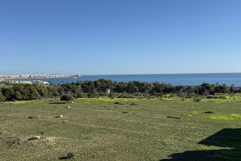 Penthouse à Punta Prima, Alicante, Espagne 2 chambres, No. 168421