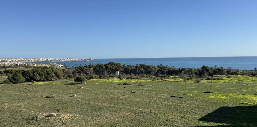 Penthouse à Punta Prima, Alicante, Espagne 2 chambres, No. 168421