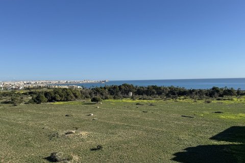 Penthouse à vendre à Punta Prima, Alicante, Espagne, 2 chambres, No. 168421 - photo 10