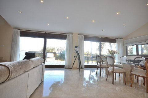 Продажа квартиры в Альбасете, Испания 5 спален, 350м2 №168793 - фото 16