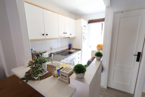 Duplex zum Verkauf in Pilar de la Horadada, Alicante, Spanien 2 Schlafzimmer, 75 m2 Nr. 168794 - Foto 13