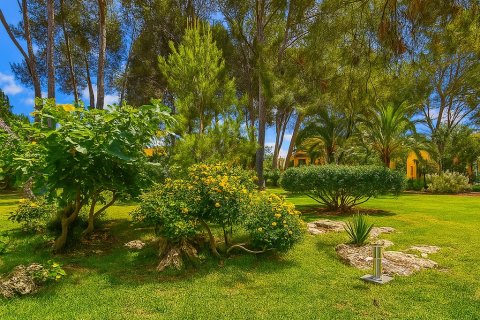 Appartamento in vendita a Santa Ponsa, Mallorca, Spagna 2 camere da letto, 100 mq. N° 143533 - foto 15