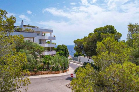 Zemes gabals pārdošanā Mallorca, Spānijā Nr. 143534 - attēls 2