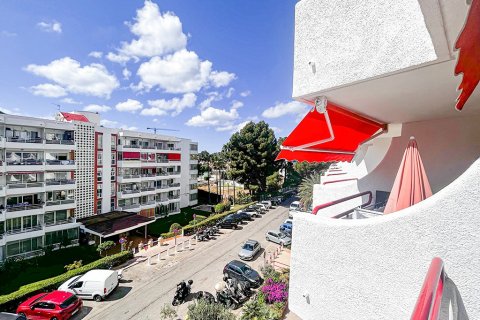 Apartamento en venta en Costa De La Calma, Mallorca, España 1 dormitorio, 40 m2 No. 143530 - foto 8