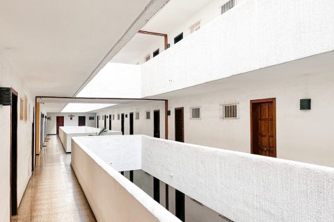 Apartamento en venta en Costa De La Calma, Mallorca, España 1 dormitorio, 40 m2 No. 143530 - foto 6