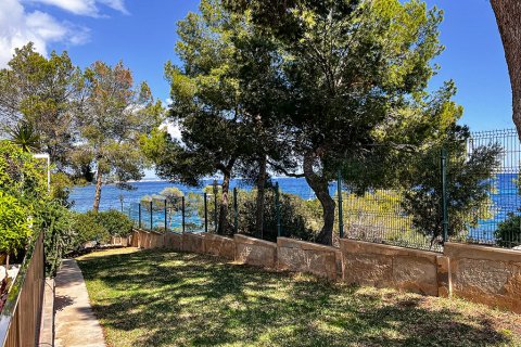 Apartamento en venta en Palmanova, Mallorca, España 3 dormitorios, 120 m2 No. 143531 - foto 11