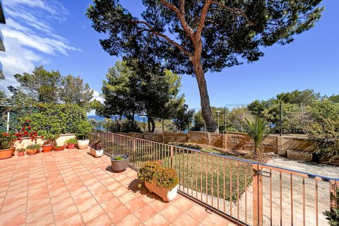 Apartamento en venta en Palmanova, Mallorca, España 3 dormitorios, 120 m2 No. 143531 - foto 2