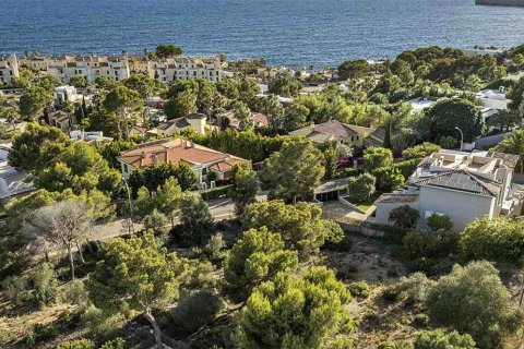 Land plot à vendre à Santa Ponsa, Mallorca, EspagneNo. 143535 - photo 4