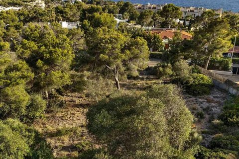 Land plot à vendre à Santa Ponsa, Mallorca, EspagneNo. 143535 - photo 6