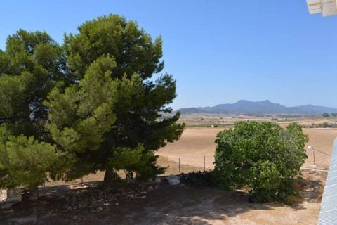 Townhouse for sale Rodriguillo, Alicante, Spain 5 bedrooms, 280 sq.m. No. 115636 - photo 20