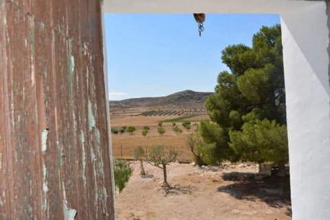Townhouse for sale Rodriguillo, Alicante, Spain 5 bedrooms, 280 sq.m. No. 115636 - photo 23