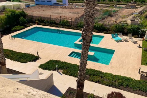 Apartment à vendre Pilar de la Horadada, Alicante, Espagne, 2 chambres, 81 m2 No. 115591 - photo 10