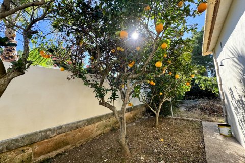 Villa zum Verkauf Bon Aire, Mallorca, Spanien 4 Schlafzimmer, 232 m2 Nr. 137506 - Foto 14